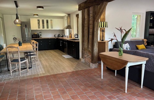 Villefranche-sur-Cher House | Villa Pinède: Beauval Zoo, Castles, heated swimming pool.