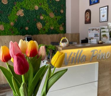 Velingrad House | Villa Pino