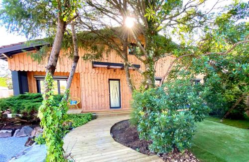 Andernos-les-Bains Villa | Villa Pins&Spa Piscine Jacuzzi Petanque Ping-pong