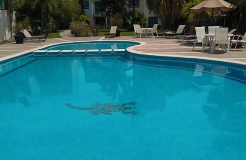 Granjas del Marques House | Villa Playa Diamante