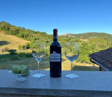 Castel del Piano Villa | Villa Podere Vista Verde