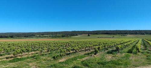 Sagries House | Villa proche d'Uzès