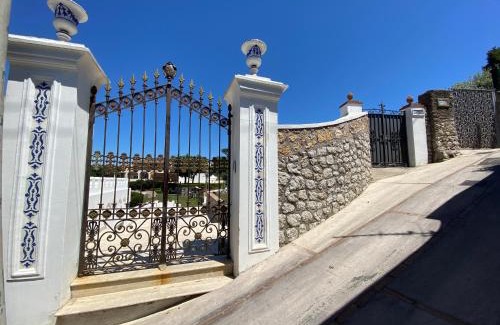 Tiberio Villa | Villa Raffaella