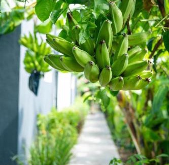 Dubedou Villa | Villa Remeitch 4 etoiles Luxe avec Piscine privee & Sauna