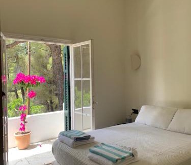 Kanapitsa Villa | Villa Rhodos Skiathos