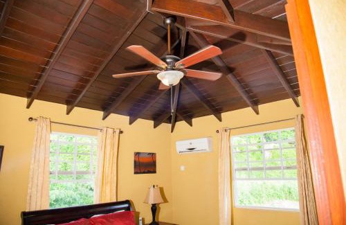 Welches Apartment | Villa Riana Barbados