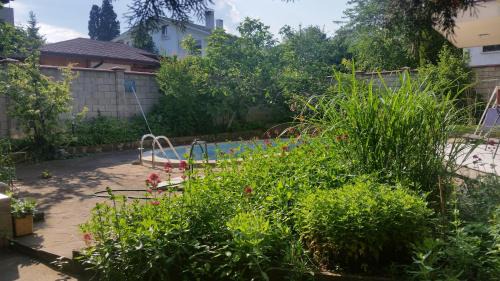 Trakata House | Villa Rio