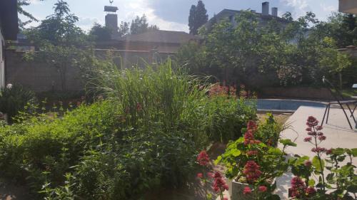 Trakata House | Villa Rio