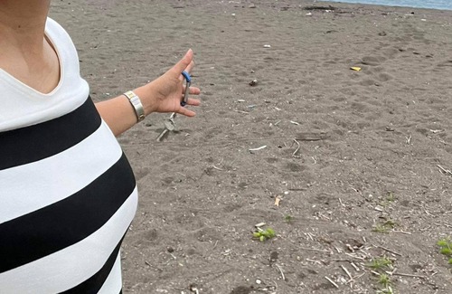 San Jose House | Villa Rivero is a beach front house 50 feet away from the beach.