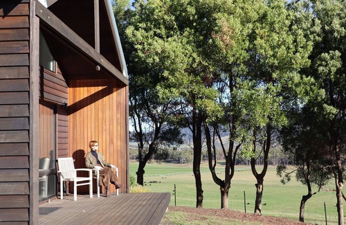 Kellevie Villa | Villa Rochford - A unique place to rest amongst an Olive Grove
