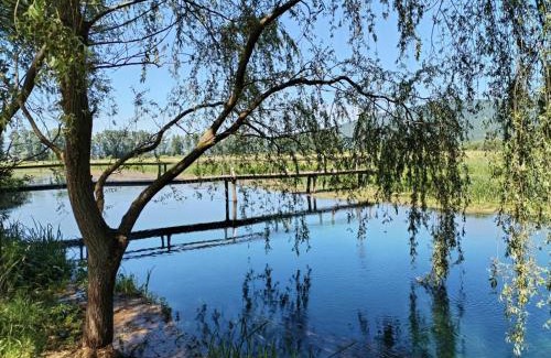 Licko Lesce House | Villa Roko