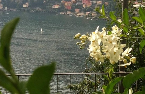 Torno Apartment | Villa Rossa, magnificent garden and view on the lake at only 10 min. from Como