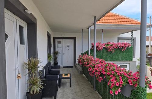 Golubac Apartment | Villa Ruža