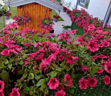 Golubac Apartment | Villa Ruža
