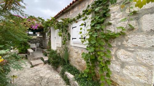 Maslinica Villa | Villa rustica bougainvillea