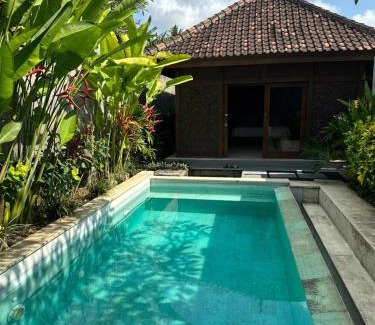 Penatih Villa | Villa Sage Bali