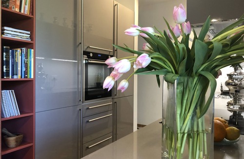 Collina d'Oro Apartment | Villa SamarCasa