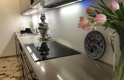 Collina d'Oro Apartment | Villa SamarCasa
