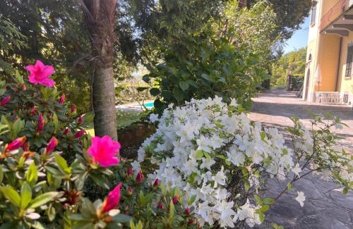 Lesa Apartment | Villa Santa Chiara Lesa - appartamento vista lago con piscina