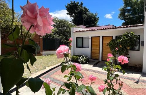 Reforma Apartment | Villa Santa Julia