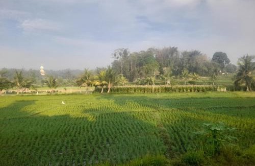 Batukliang Villa | Villa Santai