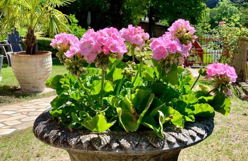 Saint-Nectaire Bed & Breakfast | Villa St. Hubert