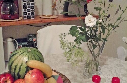 Bosingfeld Apartment | Villa Stephan - luxurious holiday apartment in the countryside
