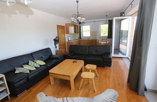 Svajcarnica Villa | Villa Stipino - Five Bedroom Villa with swimming pool