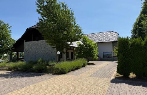 Catrnja House | Villa Stone