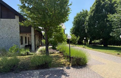 Catrnja House | Villa Stone