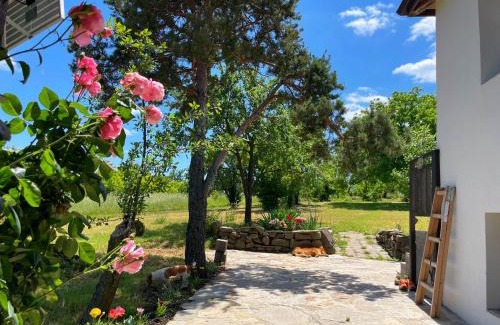 Sredets Cabin | Villa Suhodol