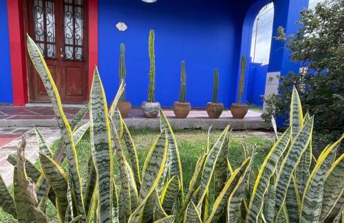 Alta Gracia Apartment | Villa Tequila-Casa Frida