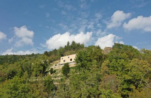 Golubici Villa | Villa Terra Motovun