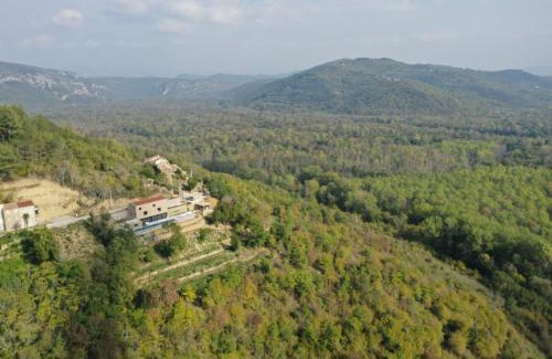 Golubici Villa | Villa Terra Motovun