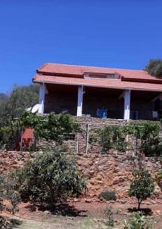 Chenoua Villa | Villa Tipaza