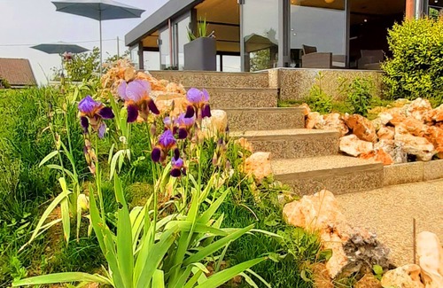 Moriondo Torinese Villa | Villa Tiziana Relax and Pool