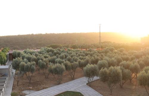 Ain Tizgha Cabin | Villa Tizra - Guest house
