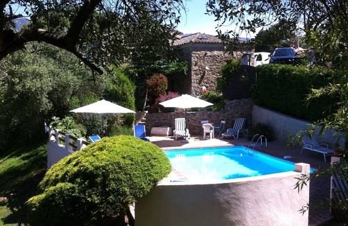 Eccica-Suarella Villa | VILLA UNDER THE OLIVE TREES