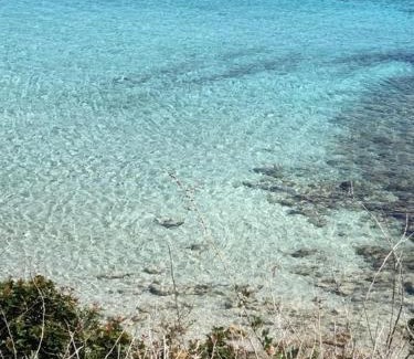 Alghero Villa | Villa Vera - Le Bombarde
