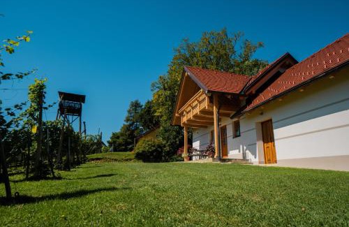 Ormoz Apartment | Villa VINEYARD