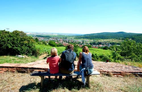 Limbach Bed & Breakfast | Villa Vinica