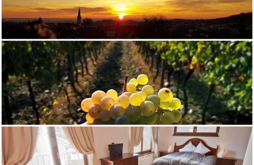 Limbach Bed & Breakfast | Villa Vinica