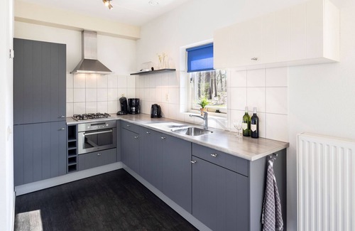 Ruinen Villa | Villa w/Solarium nr Hoogeveen