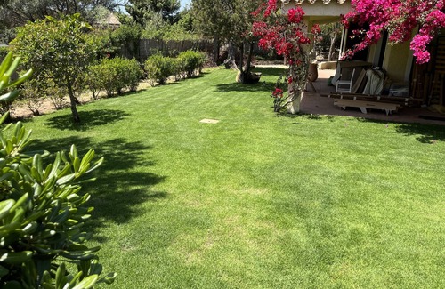 Villaggio delle Mimose Villa | Villa with garden 100 mt from the beach " timi ama " . CIN IT111105C2000Q9165