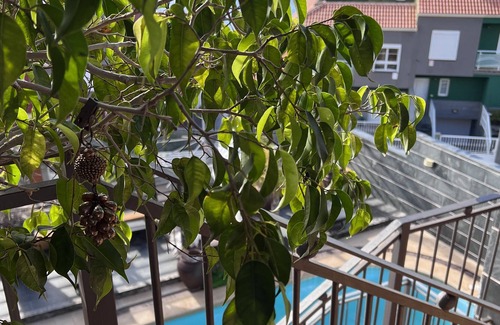 El Rosario Villa | Villa with private pool, WIFI and BBQ