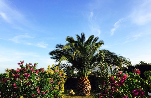 Vinaros Villa | Villa with private pool, green blooming garden and palm near the beach
