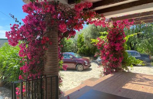Mondron Villa | Villa Zahar