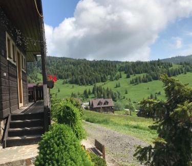 Bachledova dolina Villa | Villa Zdiar 681