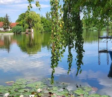 Bekesszentandras Villa | VillaBalin