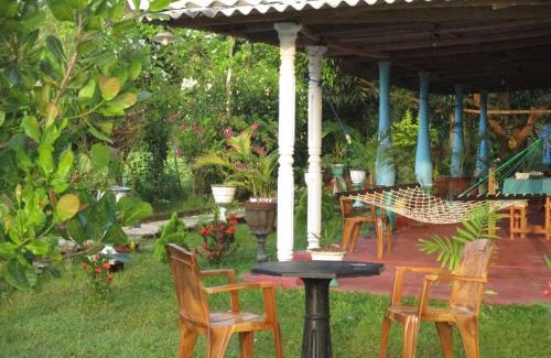 Medawachchiya Bed & Breakfast | Village Garden Inn